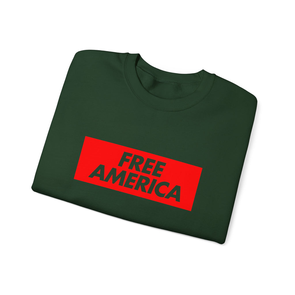Free America sweatshirt | Political slogan crewneck, red block text