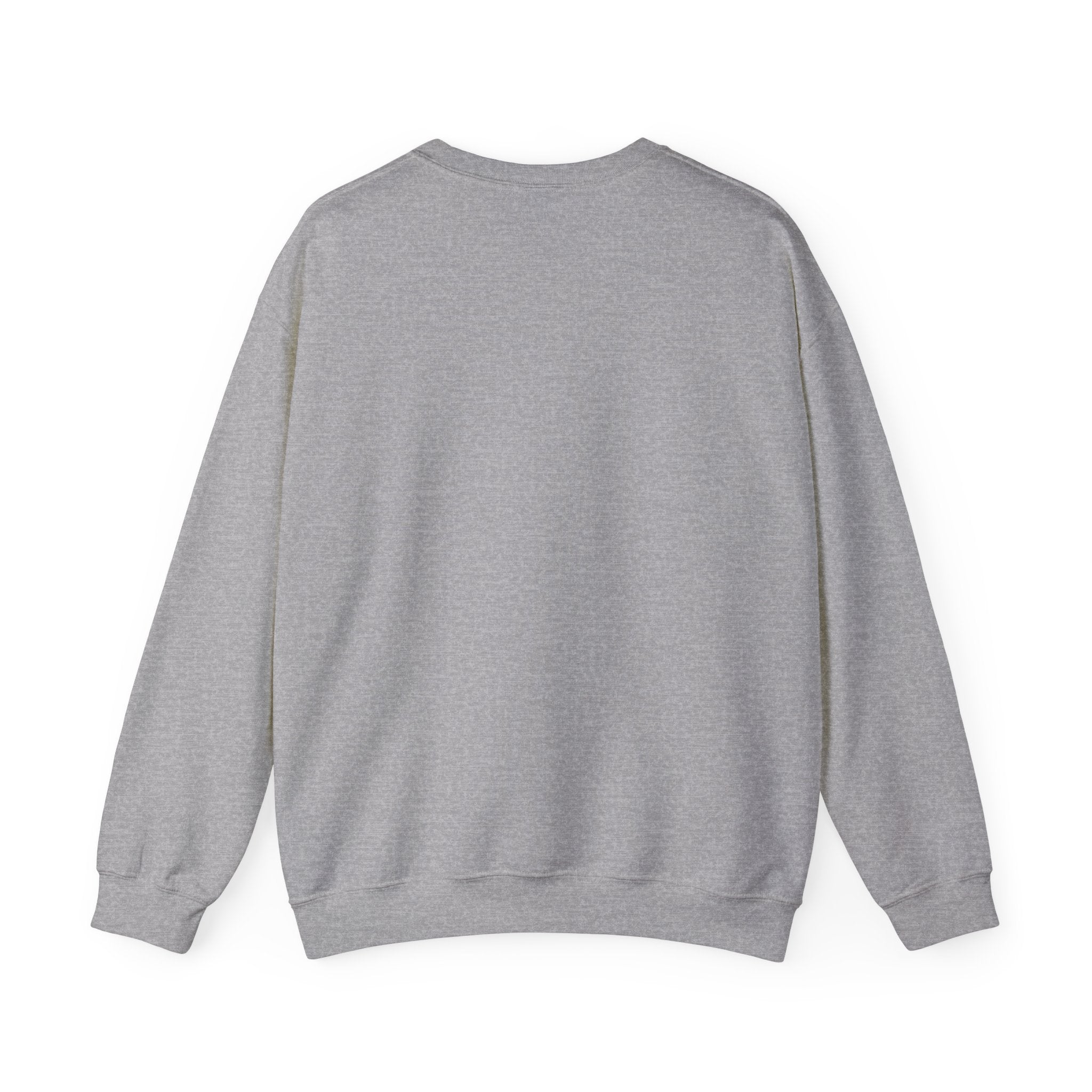 Free America sweatshirt | Political slogan crewneck, red block text
