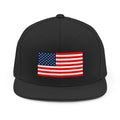 Stars and Stripes - Snapback Hat - Political Statement Hat for Activists