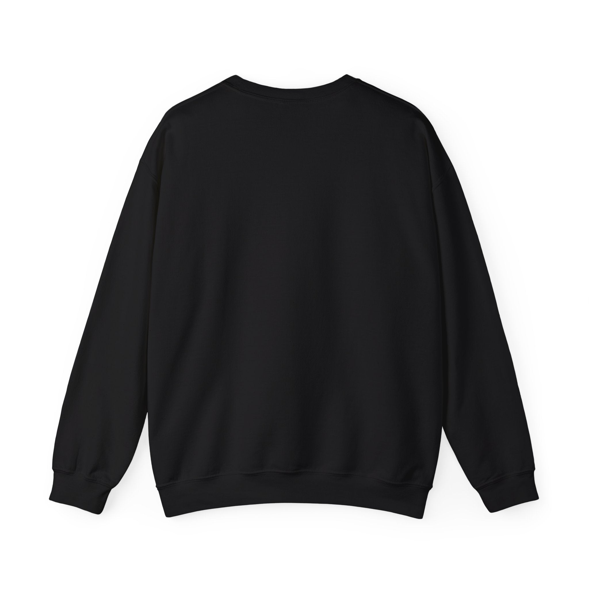 Free America sweatshirt | Political slogan crewneck, red block text