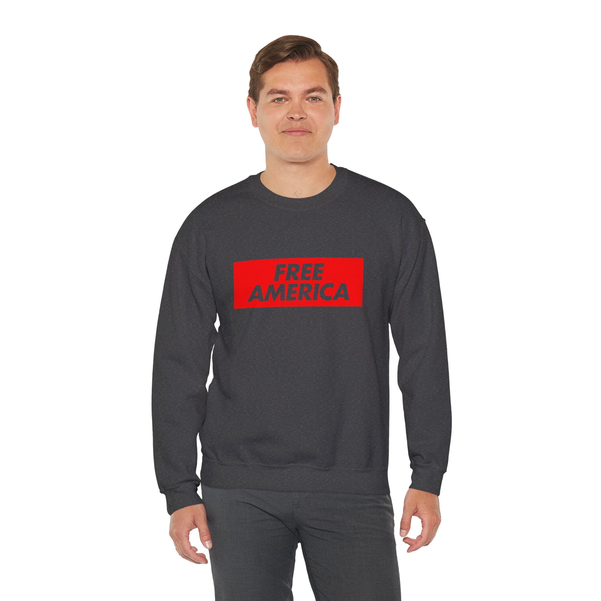 Free America sweatshirt | Political slogan crewneck, red block text